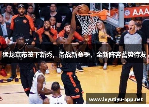 猛龙宣布签下新秀，备战新赛季，全新阵容蓄势待发